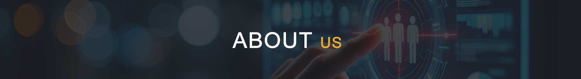 About Suly Group