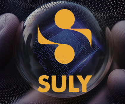 SULY | Loyalty agency in the automotive industry